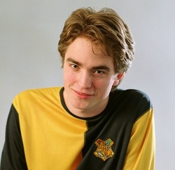 Cedric Diggory Harry Potter Everything